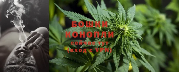 кокс Вяземский