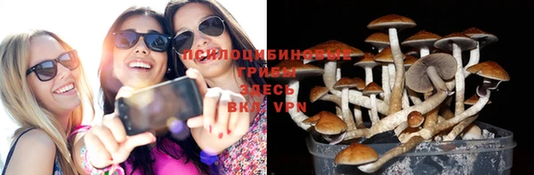 Альфа ПВП Вязники