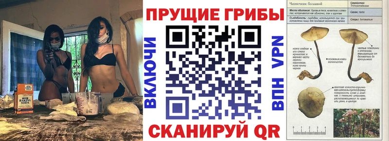 хочу   OMG зеркало  Галлюциногенные грибы мухоморы  Мценск 